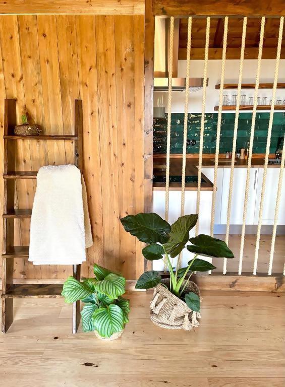 丰沙尔 Mountain Eco Shelter 2酒店 外观 照片